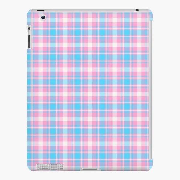 Baby blue, pink, and white plaid iPad case