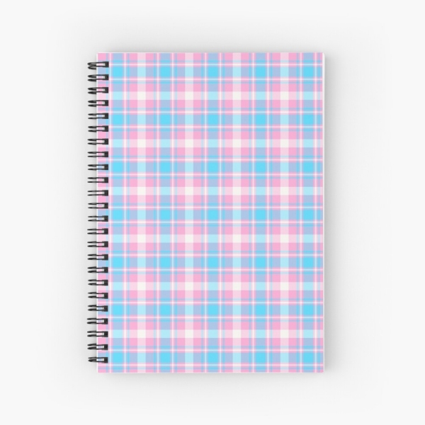 Baby blue, pink, and white plaid spiral notebook