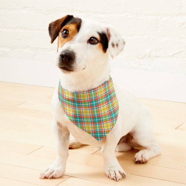 Bright yellow and seafoam green plaid pet bandana