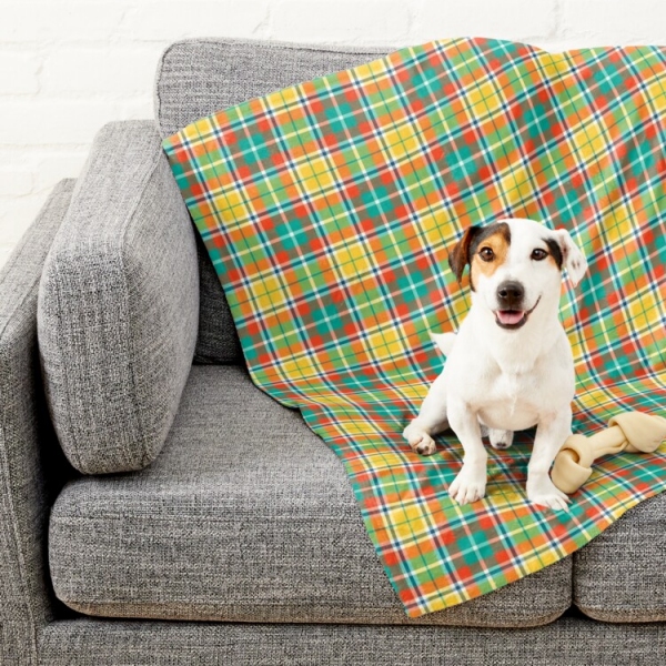 Bright yellow and seafoam green plaid pet blanket