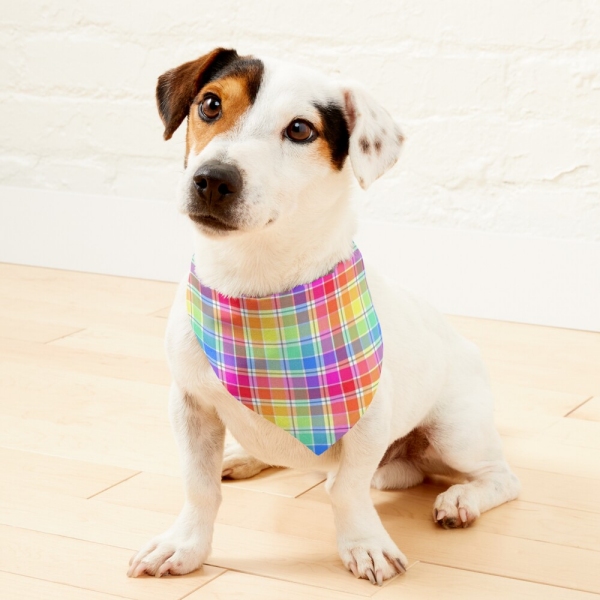 Bright pastel rainbow plaid pet bandana