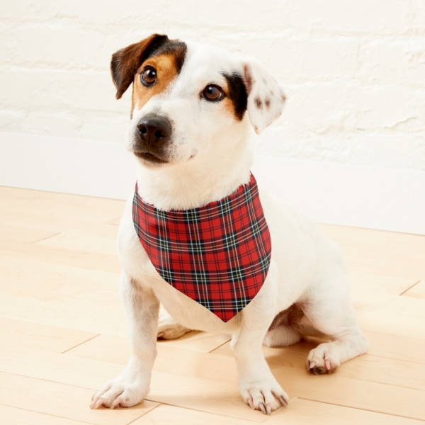 Red vintage plaid pet bandana