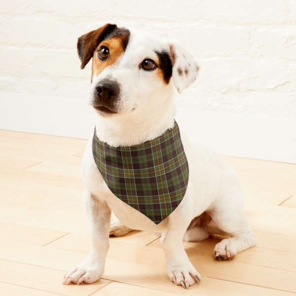 Brown and moss green plaid pet bandana