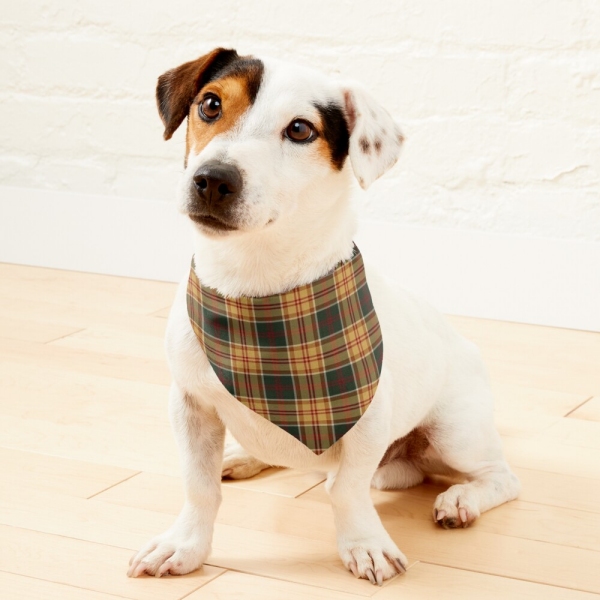 Gold and Dark Green Rustic Plaid Pet Bandana