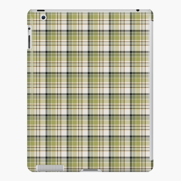 Light green and navy blue rustic plaid iPad case