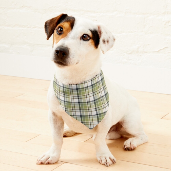 Light Green and Navy Blue Rustic Plaid Pet Bandana