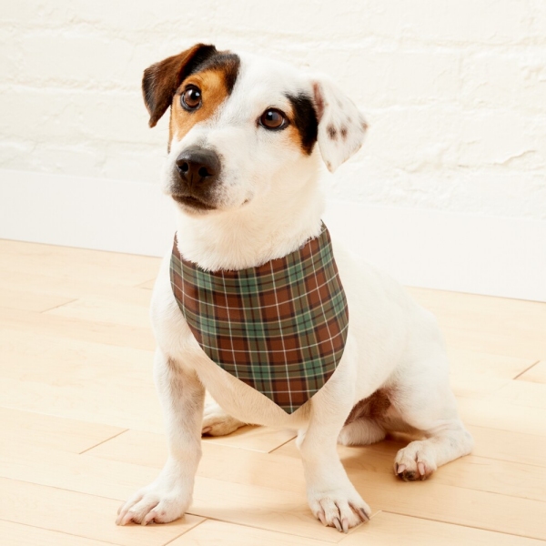 Muted red and green rustic plaid pet bandana