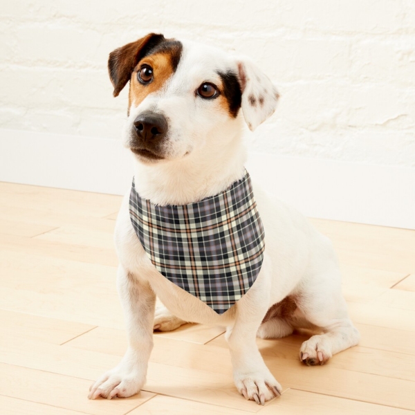 Navy Blue and Cream Rustic Plaid Pet Bandana