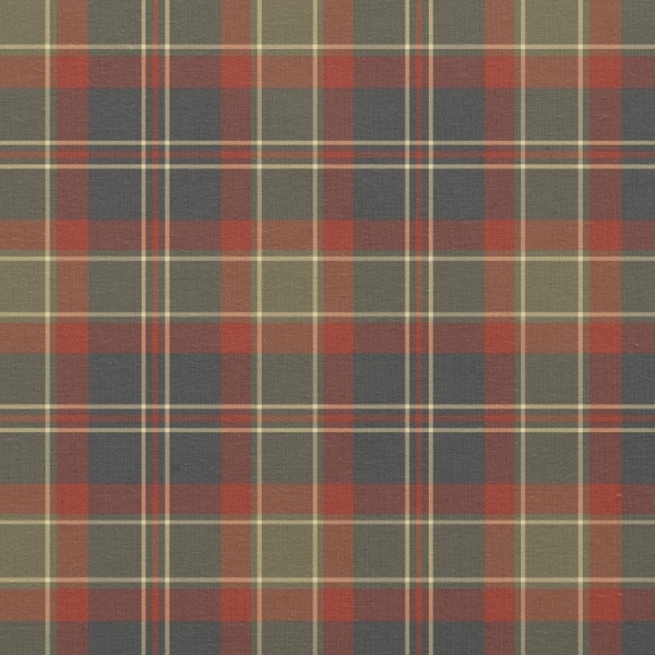 Navy Blue and Red Rustic Plaid Fabric
