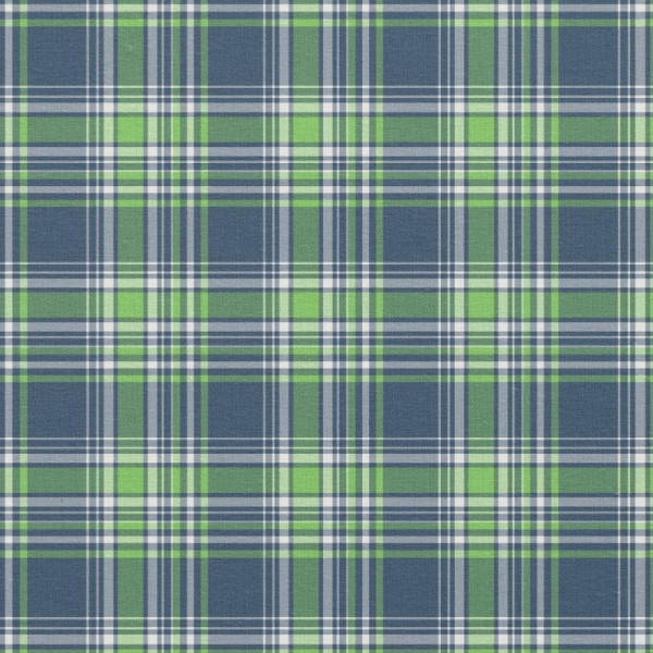 Blue and Bright Green Sporty Plaid Fabric