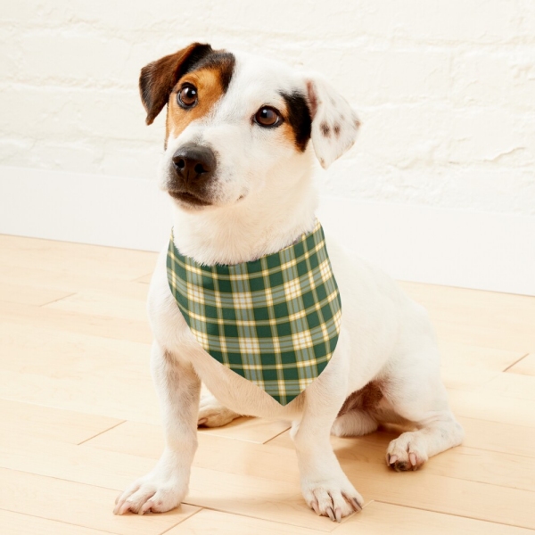 Dark green and yellow gold sporty plaid pet bandana