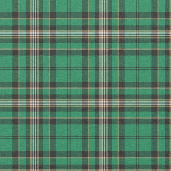 Green and Black Sporty Plaid Fabric