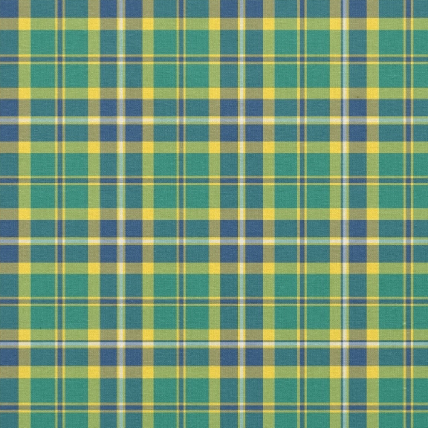 Green, Blue, and Yellow Sporty Plaid Fabric