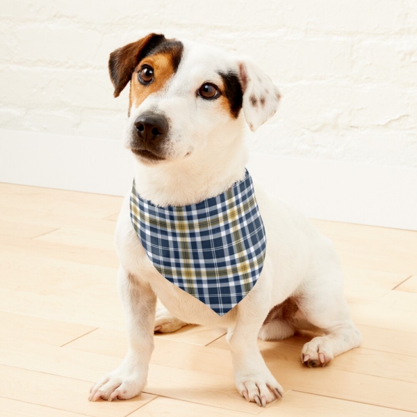 Navy blue and yellow gold sporty plaid pet bandana