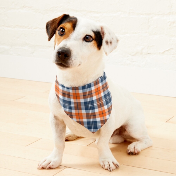 Orange and blue sporty plaid pet bandana