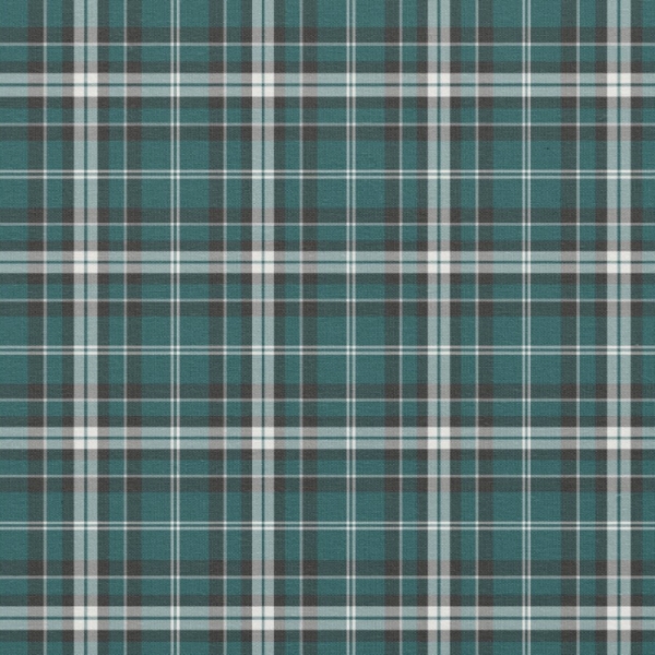 Teal Green, Black, and White Sporty Plaid Fabric