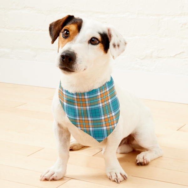 Turquoise and orange sporty plaid pet bandana