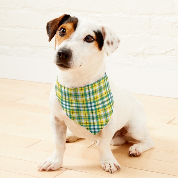 Bright yellow and green sporty plaid pet bandana