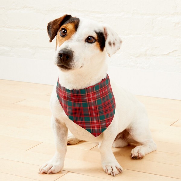 Clan Ainslie Tartan Pet Bandana