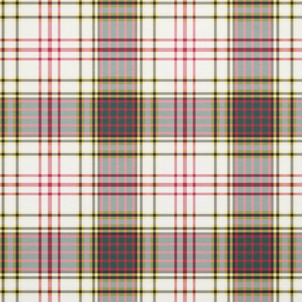 Anderson Dress tartan fabric