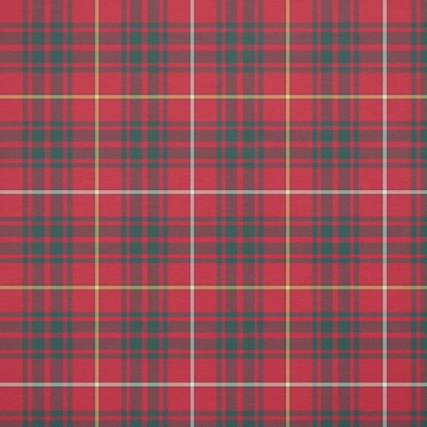 Bruce tartan fabric