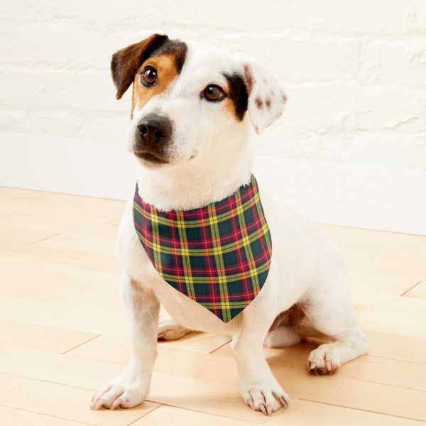 Buchanan tartan pet bandana