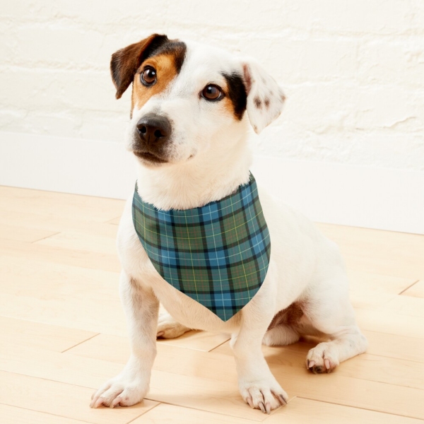 California Tartan Pet Bandana