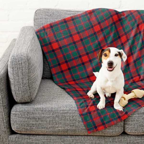 Carrick Tartan Pet Blanket