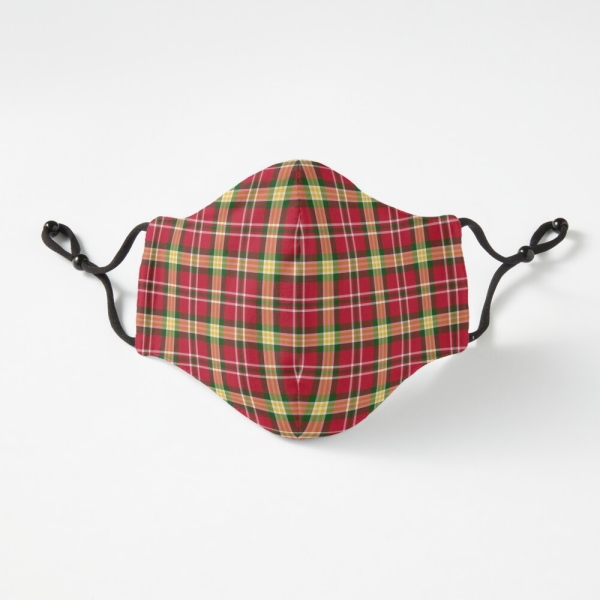 Colorful Christmas plaid fitted face mask