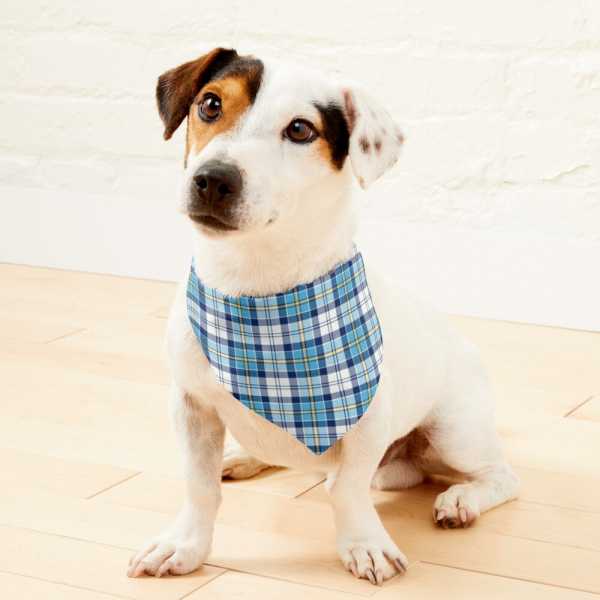 Culloden Blue Dress tartan pet bandana