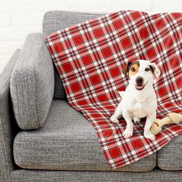 Drummond Dress tartan pet blanket