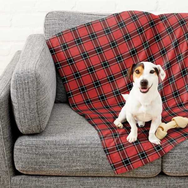 Dunbar District tartan pet blanket