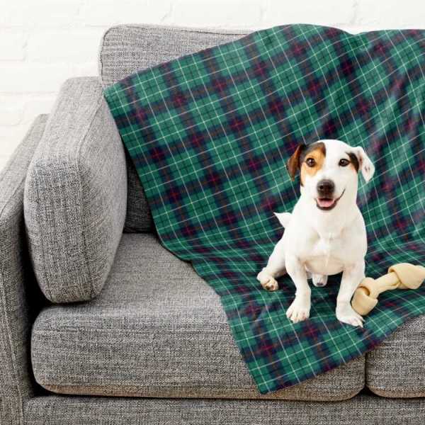 Duncan Modern tartan pet blanket