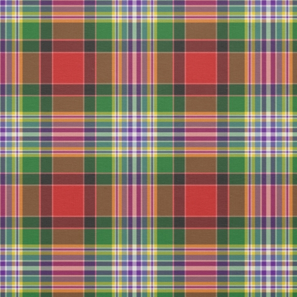 Dundee District tartan fabric