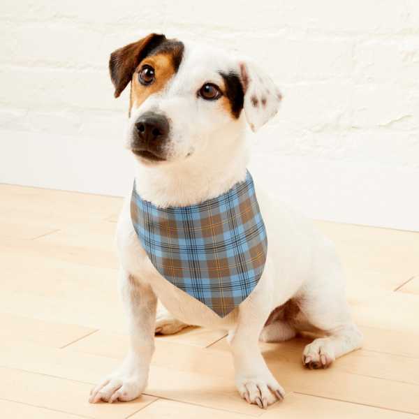 Falkirk District tartan pet bandana