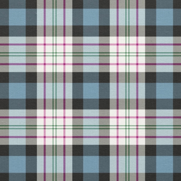 Ferguson Dress tartan fabric