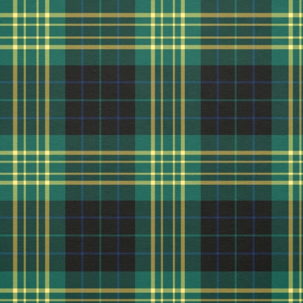 Clan Fitzpatrick Hunting Tartan Fabric