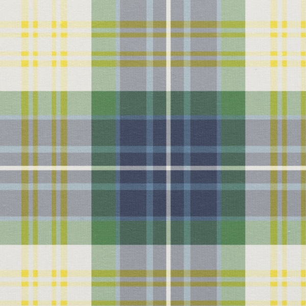 Fitzpatrick tartan fabric