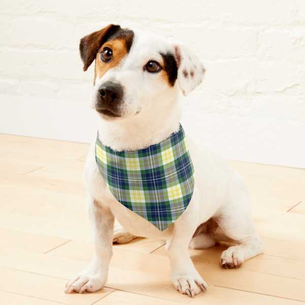 Fitzpatrick tartan pet bandana