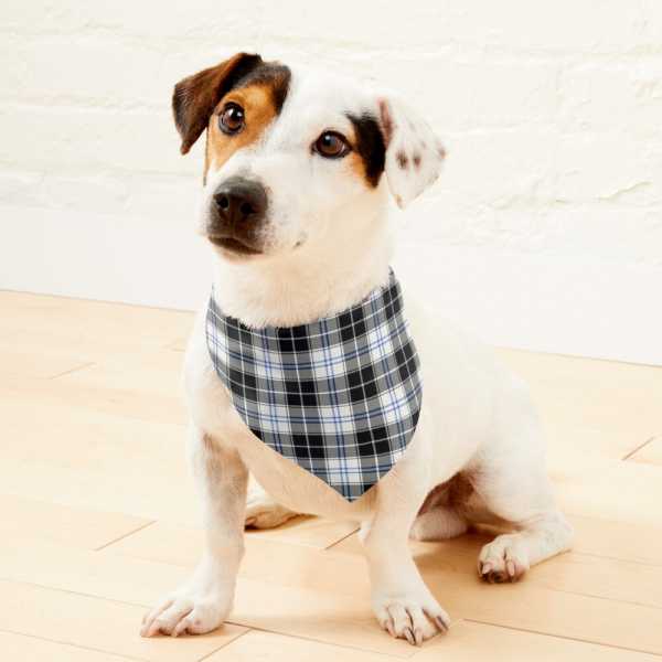 Forbes Dress tartan pet bandana