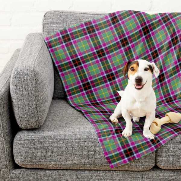 Galawater Ancient District tartan pet blanket