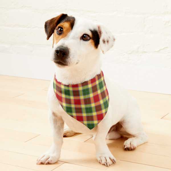 Gibbs tartan pet bandana