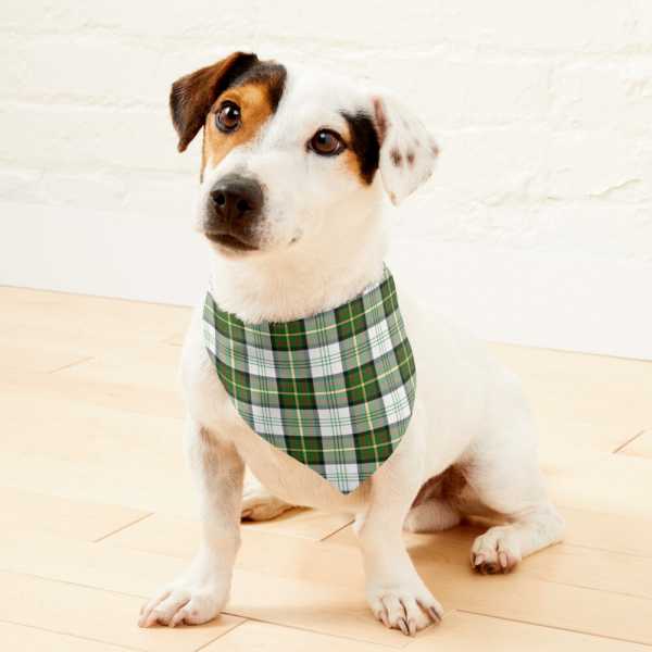 Gillies Green Dress tartan pet bandana