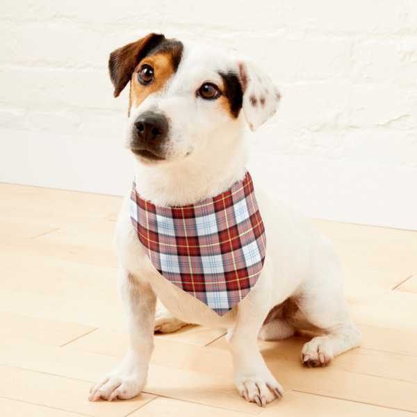 Gillies Red Dress tartan pet bandana