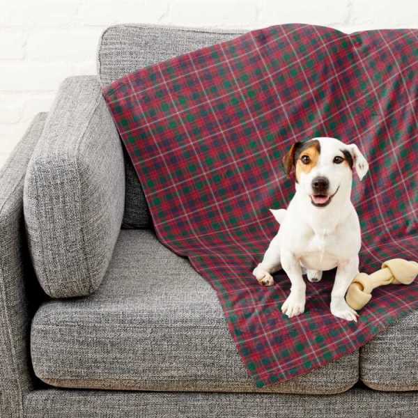 Glen Orchy Tartan Pet Blanket