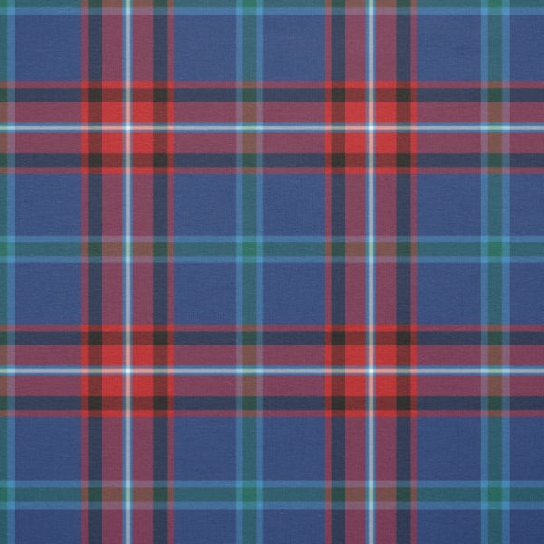 Clan Glenn Tartan Fabric