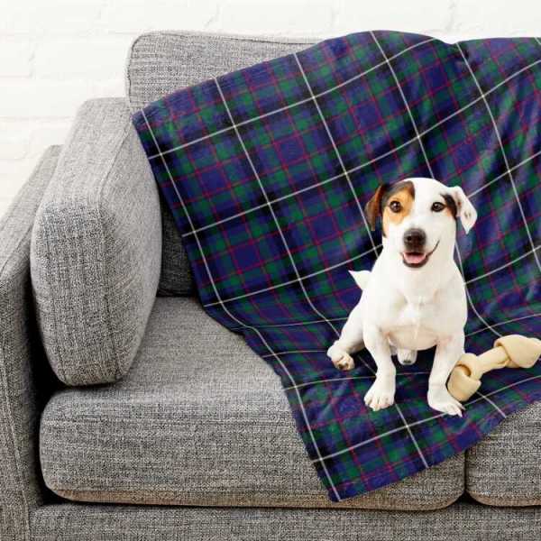 Grainger tartan pet blanket