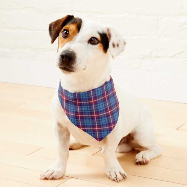 Greer tartan pet bandana