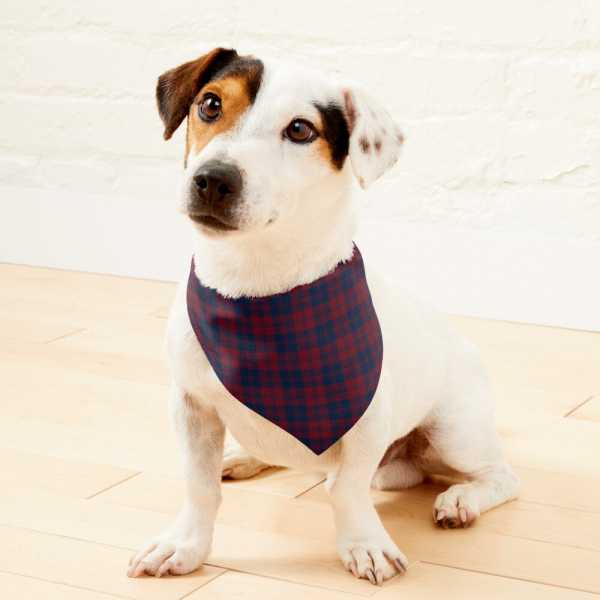 Hebridean District tartan pet bandana