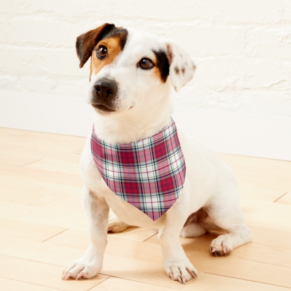 Highland Christmas plaid pet bandana